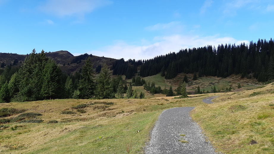 Obermaiselstein 2019 (19)